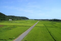 総武本線の車窓から