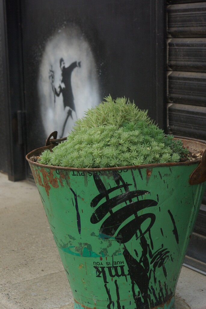 バケツの植木鉢と背後の絵は何だろう