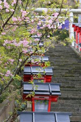 勝浦散歩6