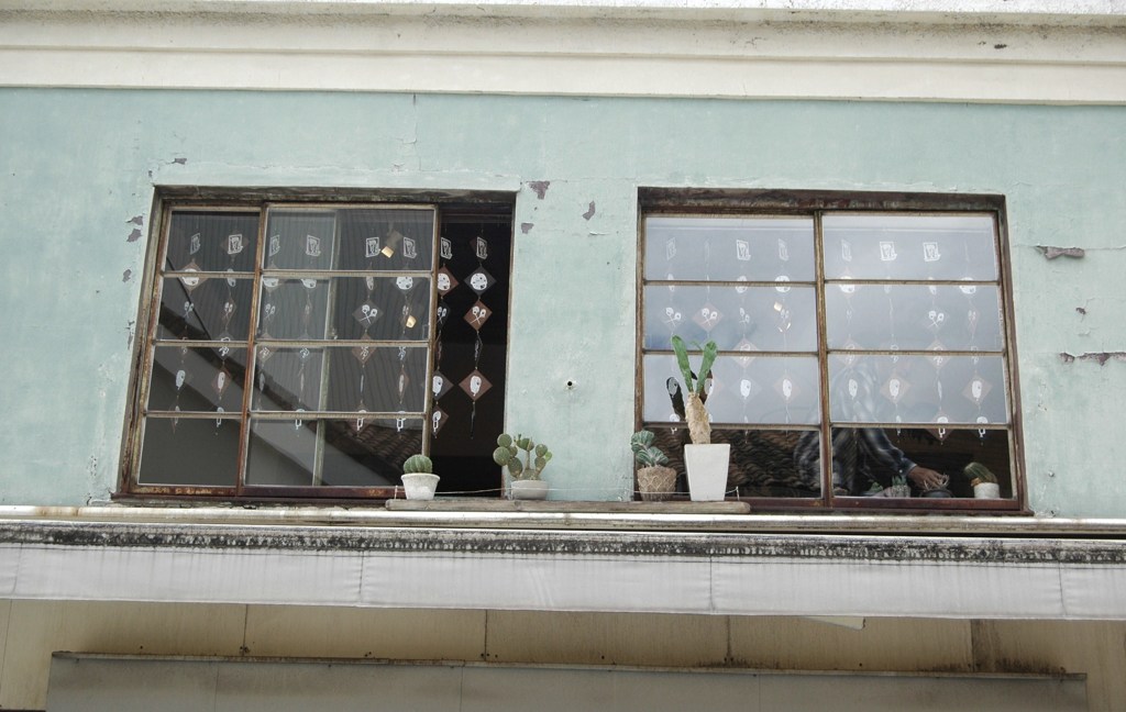 千葉ミニ散歩・屋根の上のサボテン