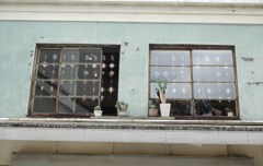 千葉ミニ散歩・屋根の上のサボテン