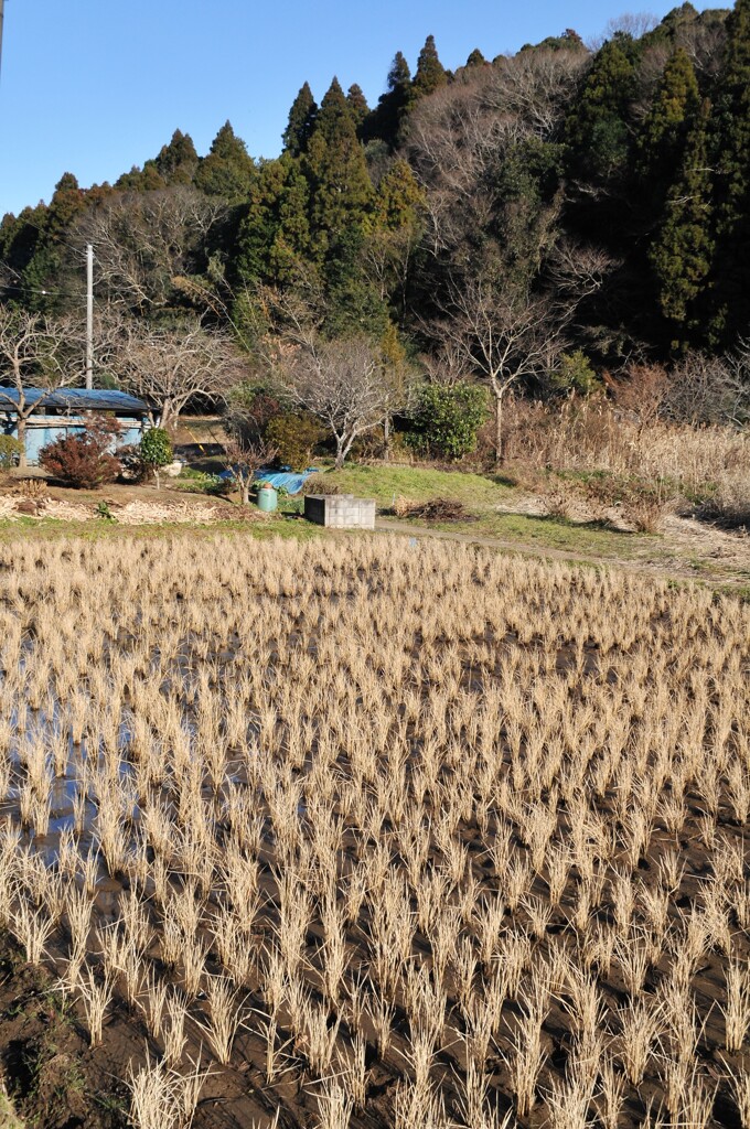 里山冬景色