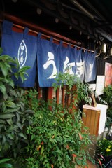 代々木街角6
