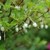 雨の日は