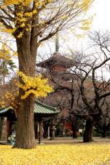 むかし出会った秋