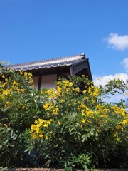 秋の里山