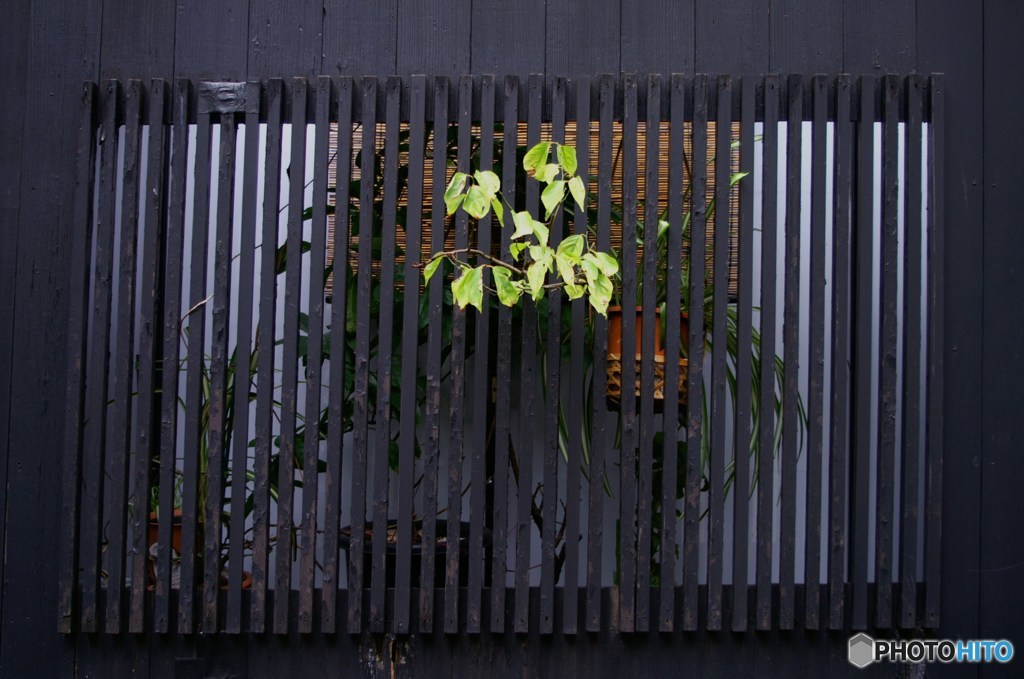 深川・門前仲町10