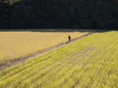 里山冬支度