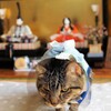 記念においらも撮ってくれよ