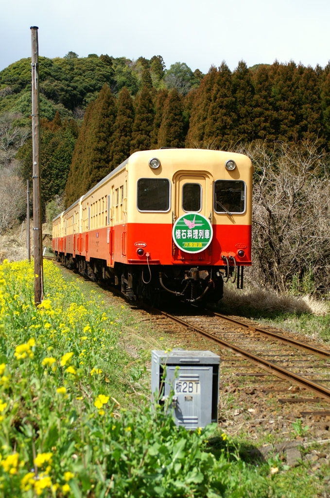 懐石料理列車？