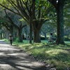 土曜日午後の公園