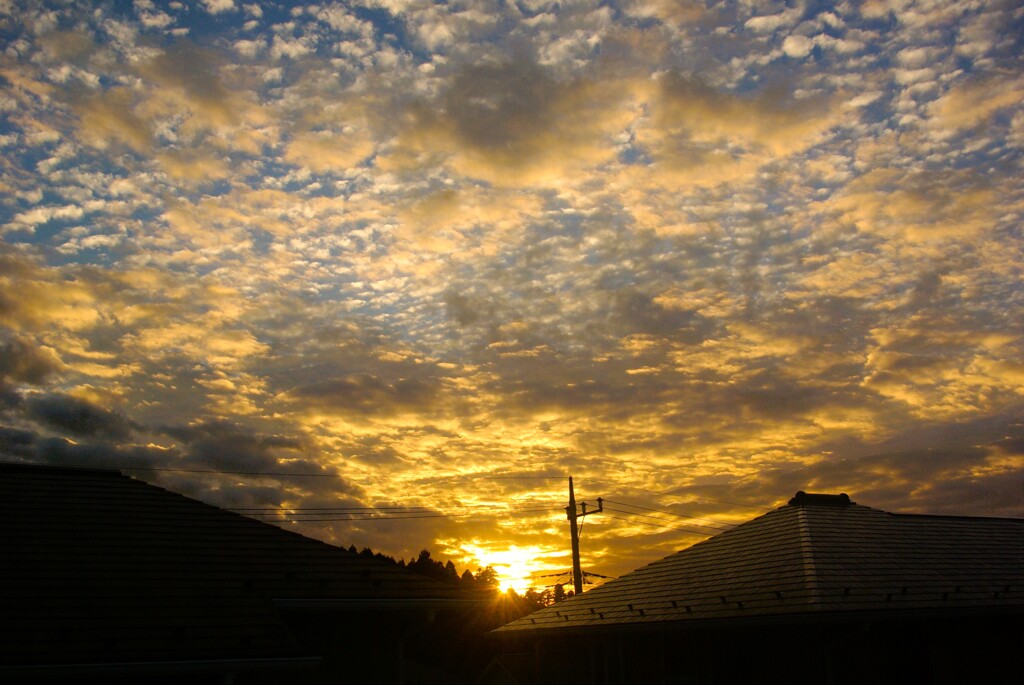 年の瀬の夕暮れ