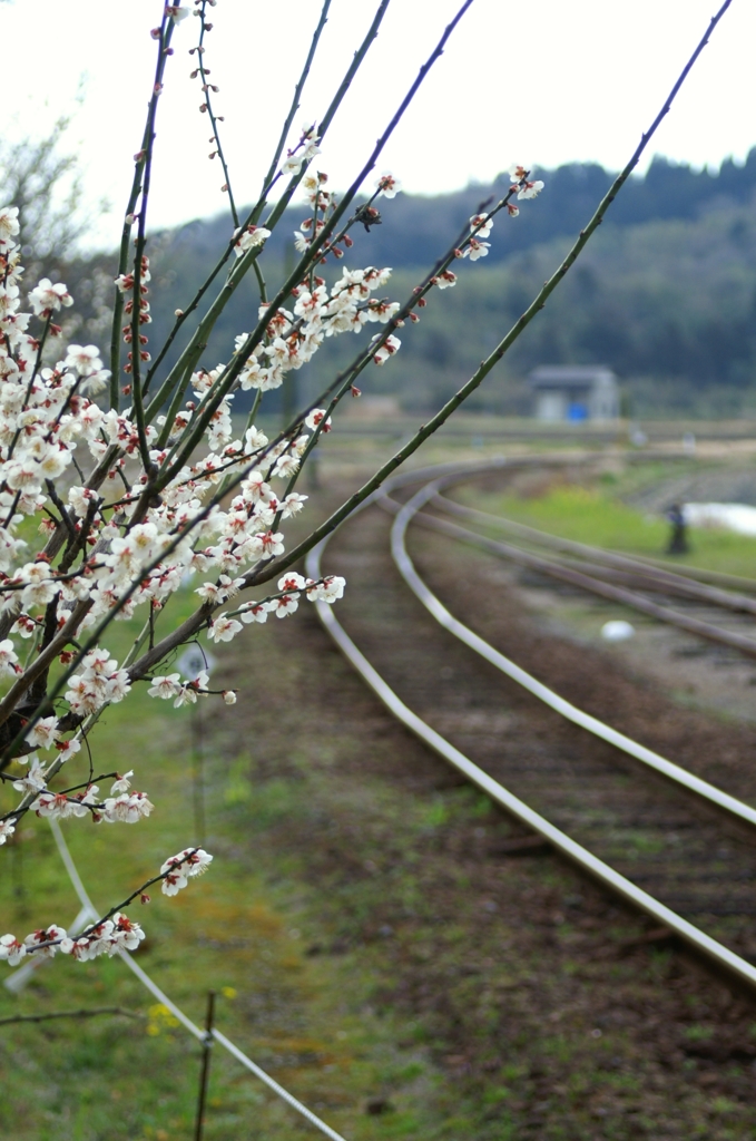 上総舞鶴駅にて