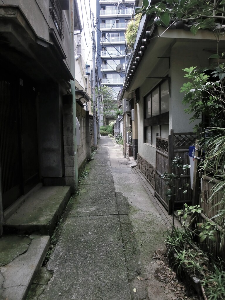 四ツ谷・市ヶ谷ぶらぶら歩き