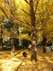 往く秋を惜しむⅠ
