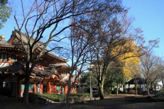 初冬の千葉神社
