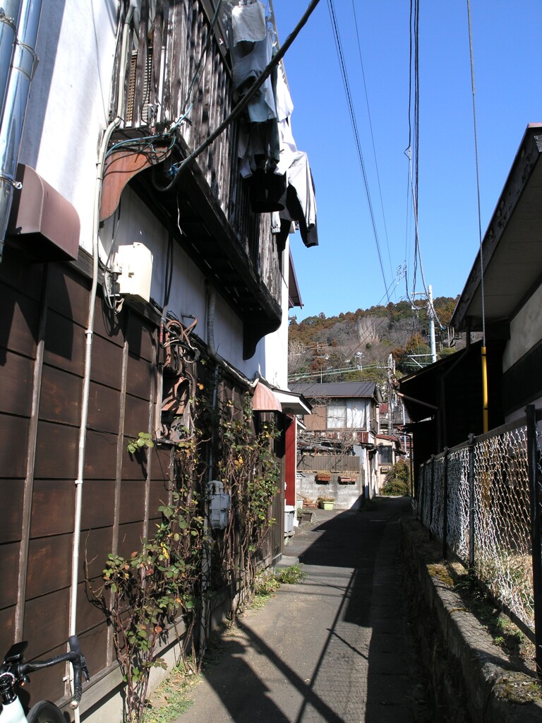 駅までの道すがら