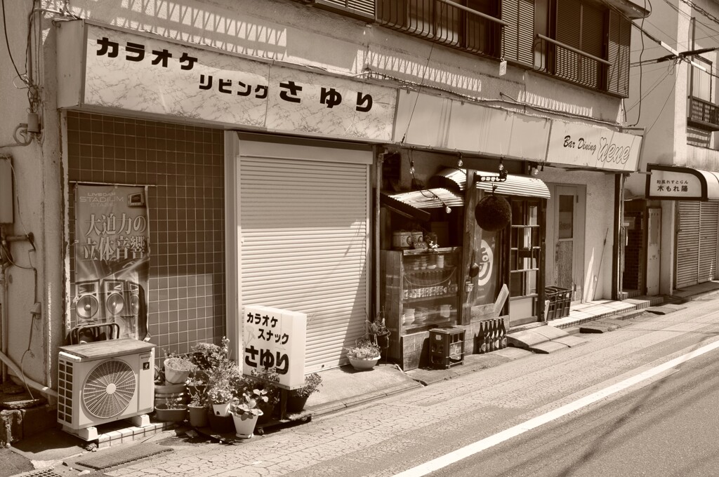 路地の店