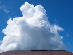 夏が湧き上がる