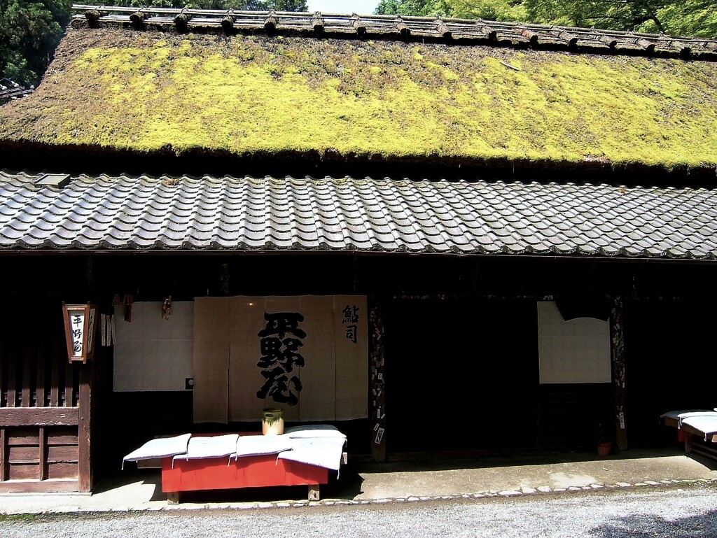 蔵出し　嵯峨野