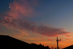 晩夏の夕暮れ(自室にて)