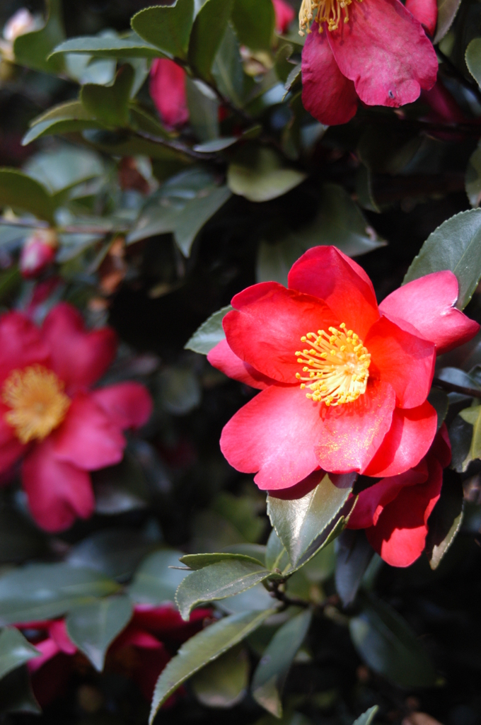 初春の陽を浴びて