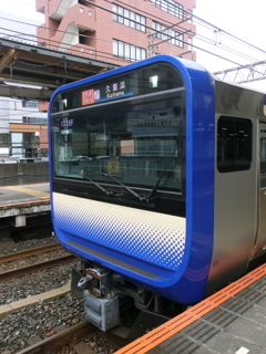 ドット柄