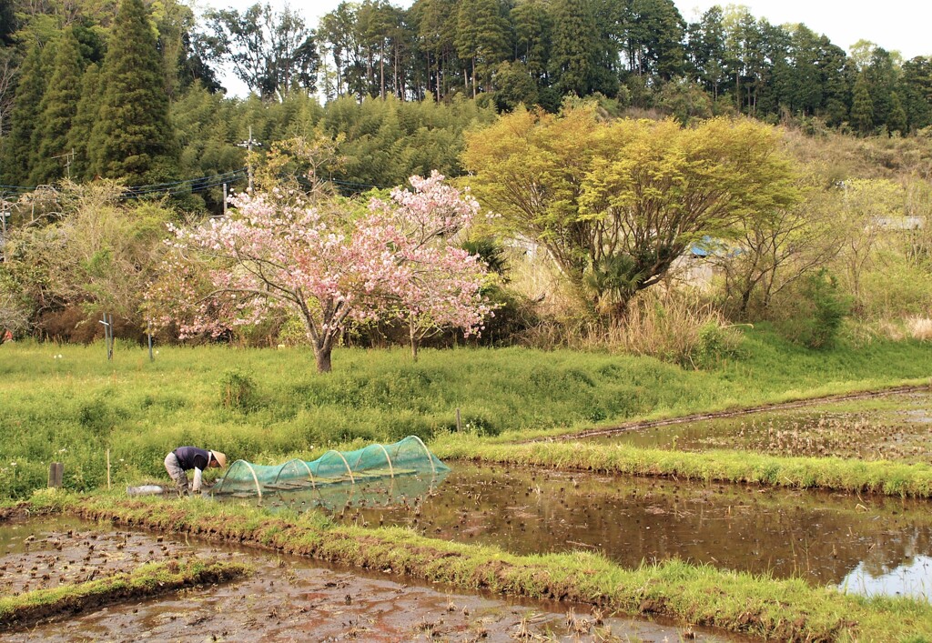 里山の暮らし