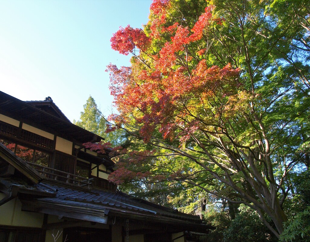 深まる秋