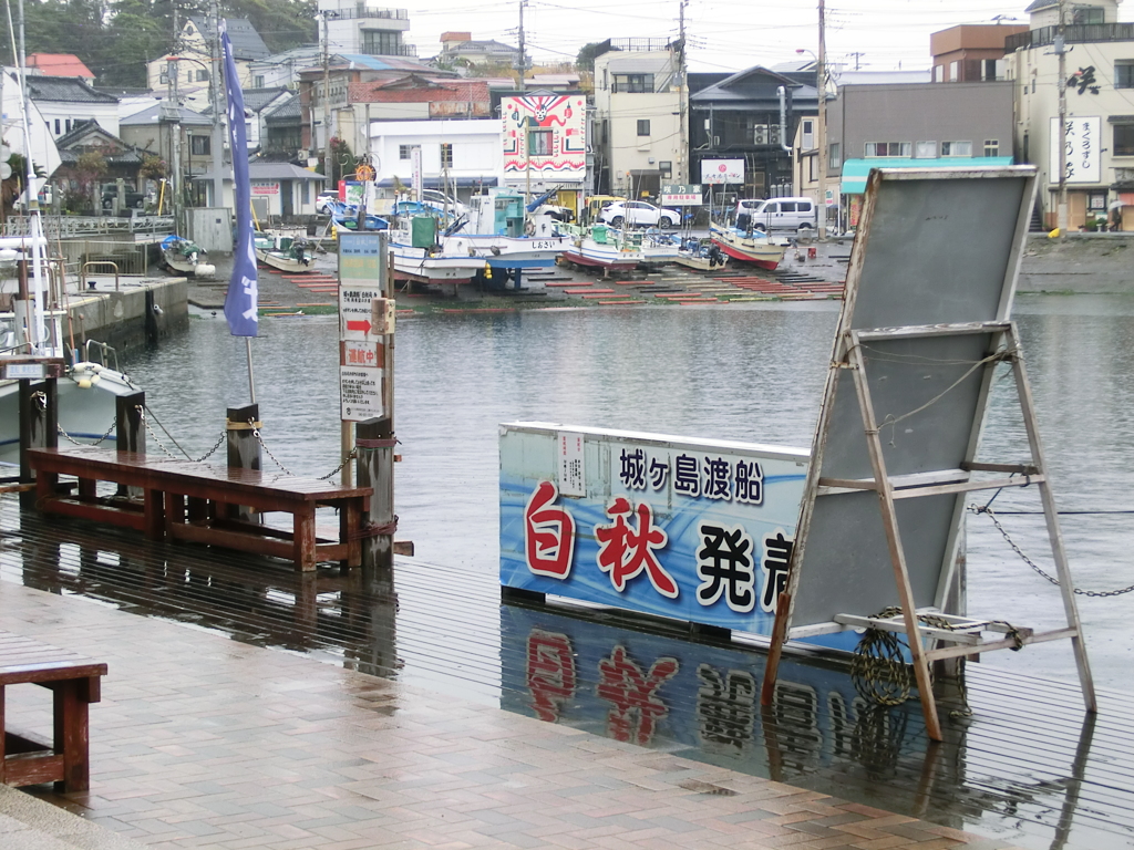 小雨の三崎漁港