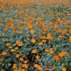 デミ日和(フィルム)