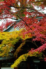 晩秋の古寺4