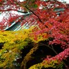 晩秋の古寺4