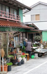 勝浦散歩7