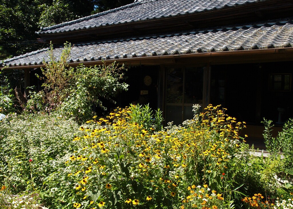 夏の里山散歩