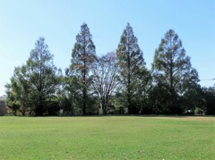 9丁目の広場