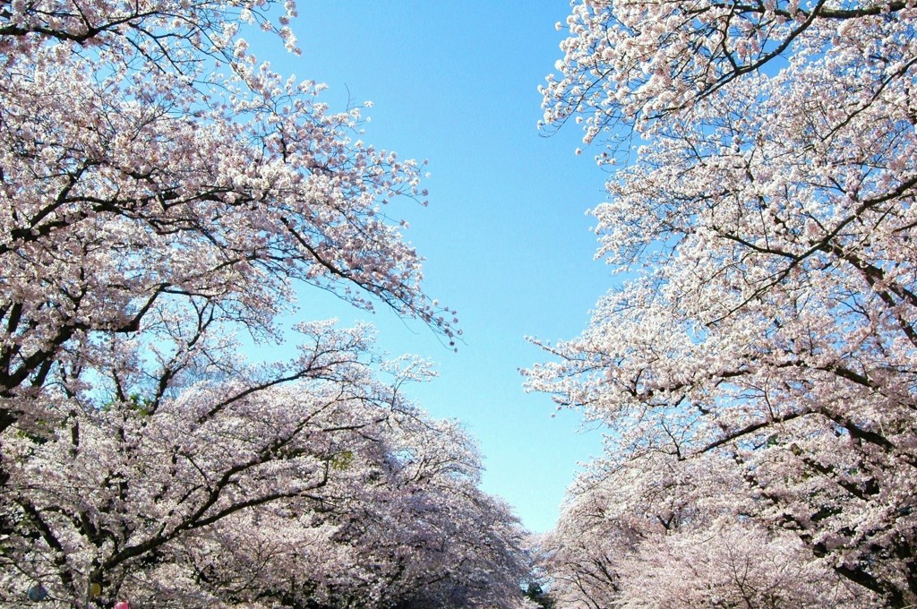 たくさんの感動と