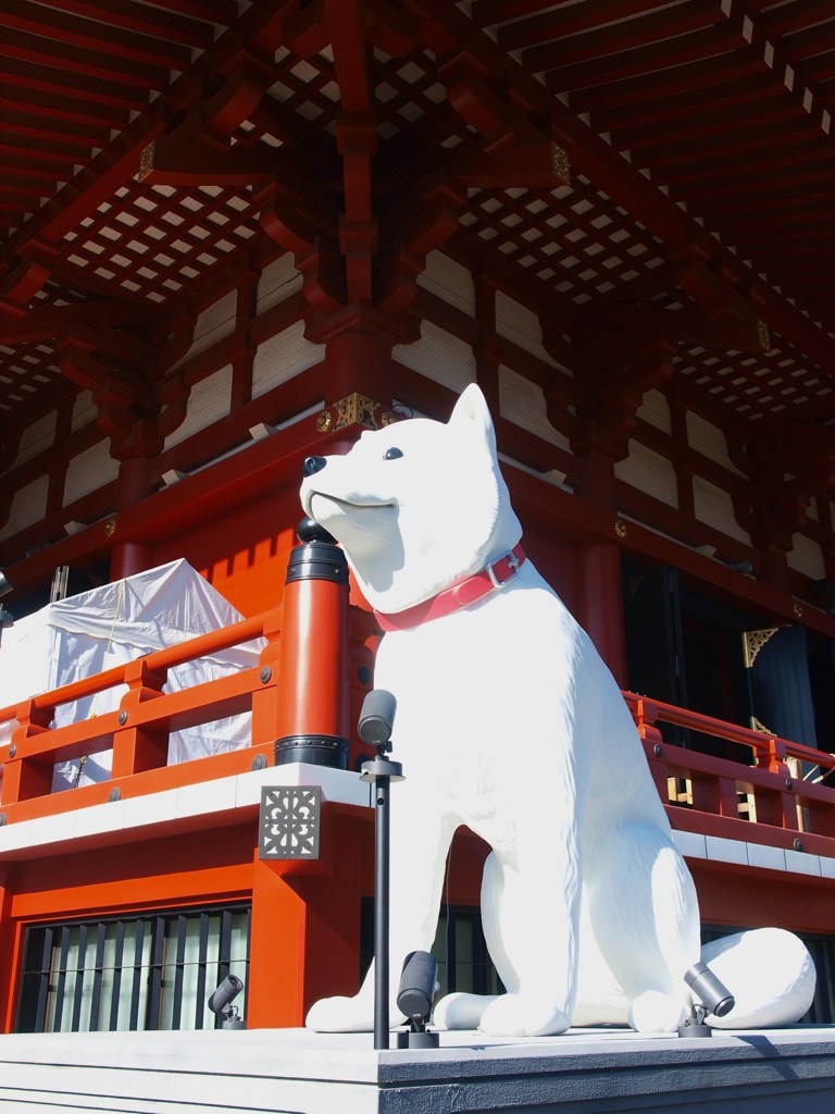 おいらの年だワン！