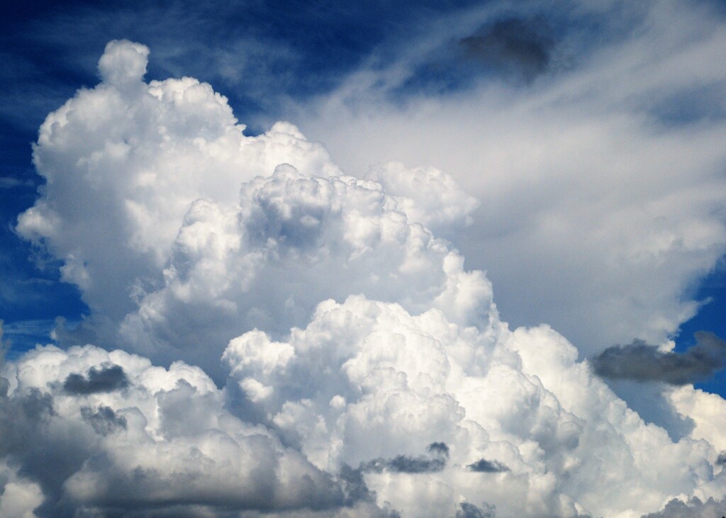 八月の雲