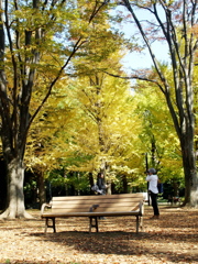 代々木公園の秋Ⅳ