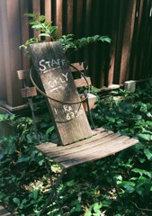 ハーフカメラ日和  木陰の椅子
