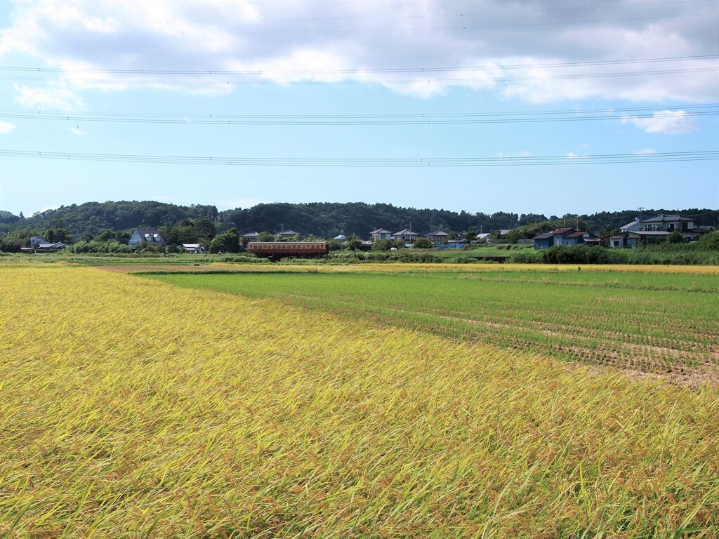 上総路を行く