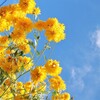 夏空の下で