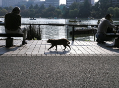 お散歩