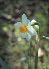 ひっそりとひとりで