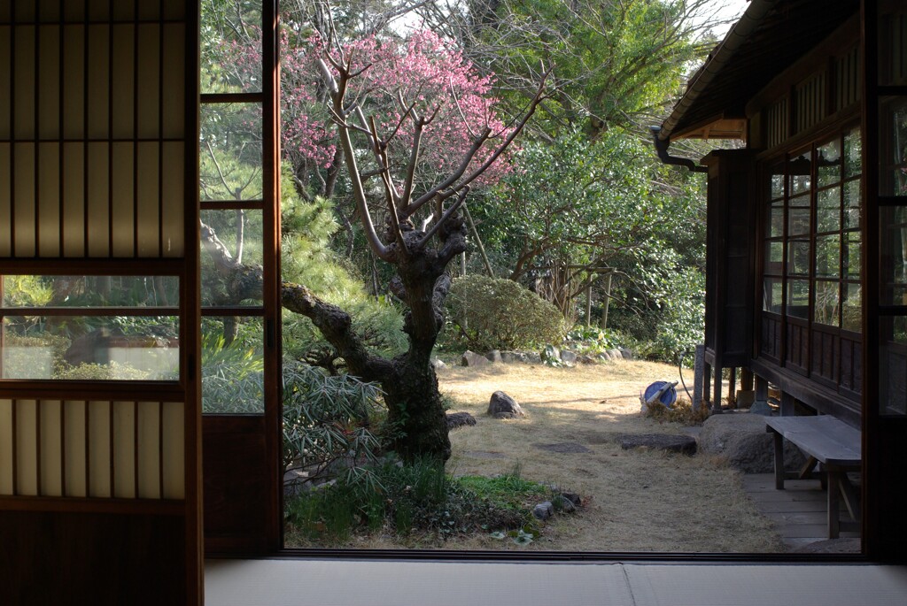 そこには静かな春が(最終)