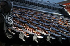 冬の陽に照らされて…