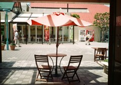デミと街中散歩(フイルム)