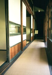 デミと街中散歩(フイルム)