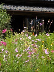 花咲く古民家の庭